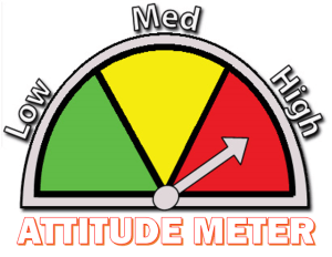 ATTITUDE METER