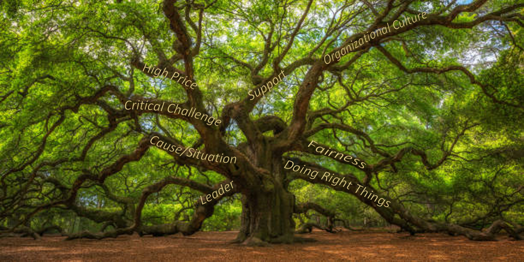 Accountability Tree[10332]