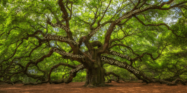 Accountability Tree[10332]