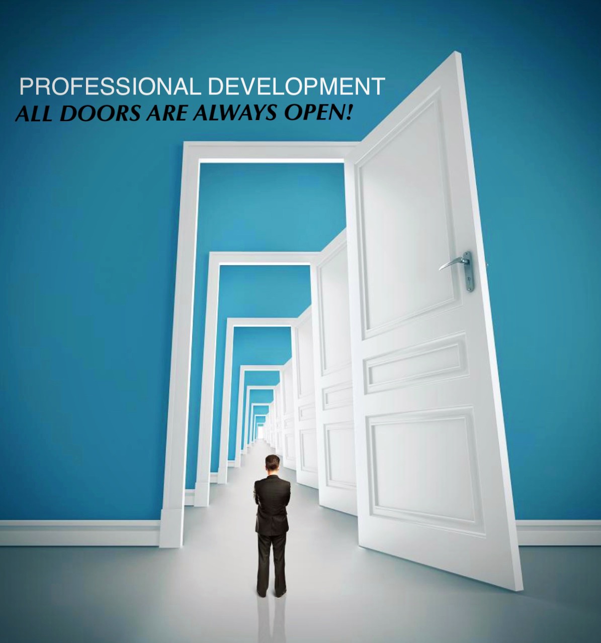 professional development