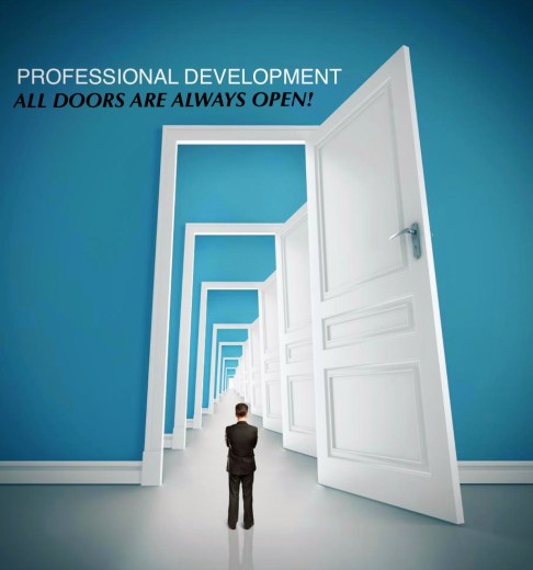 professional development